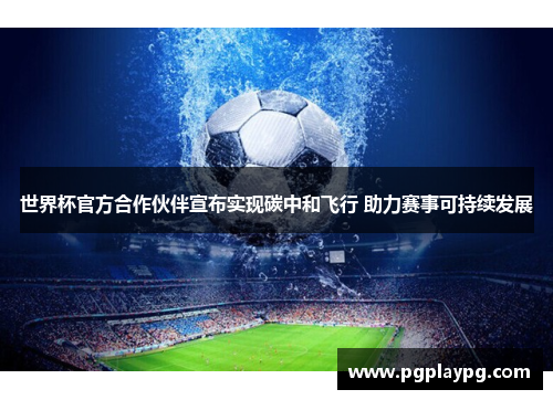 世界杯官方合作伙伴宣布实现碳中和飞行 助力赛事可持续发展 世界杯官方合作伙伴宣布实现碳中和飞行 助力赛事可持续发展