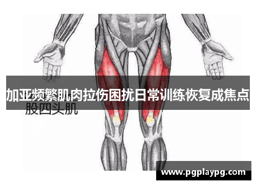 加亚频繁肌肉拉伤困扰日常训练恢复成焦点